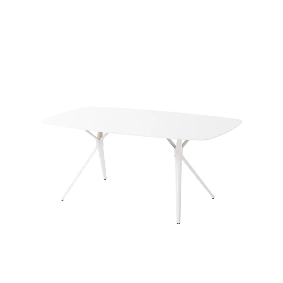 PRUNUS DINING TABLE